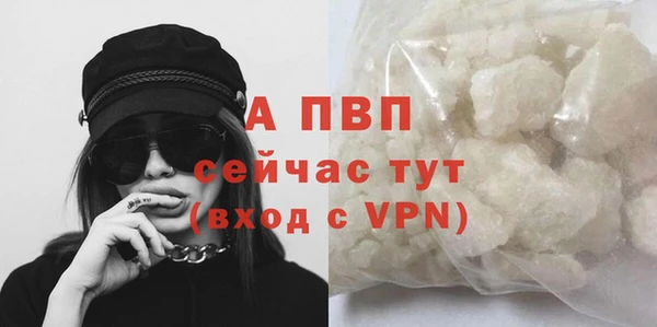 трава Верея