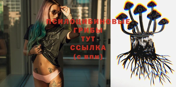 трава Верея